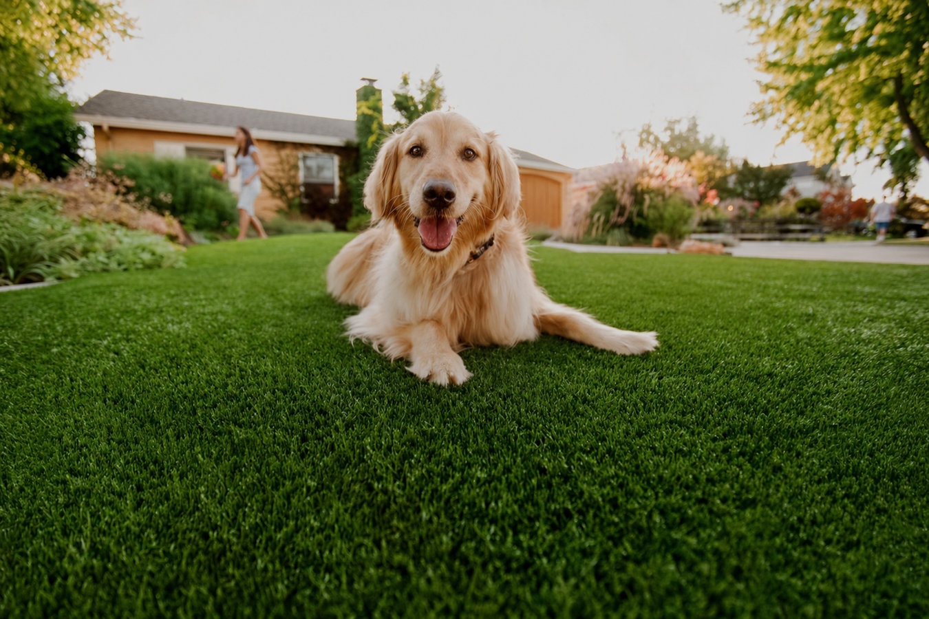 Pet-friendly turf