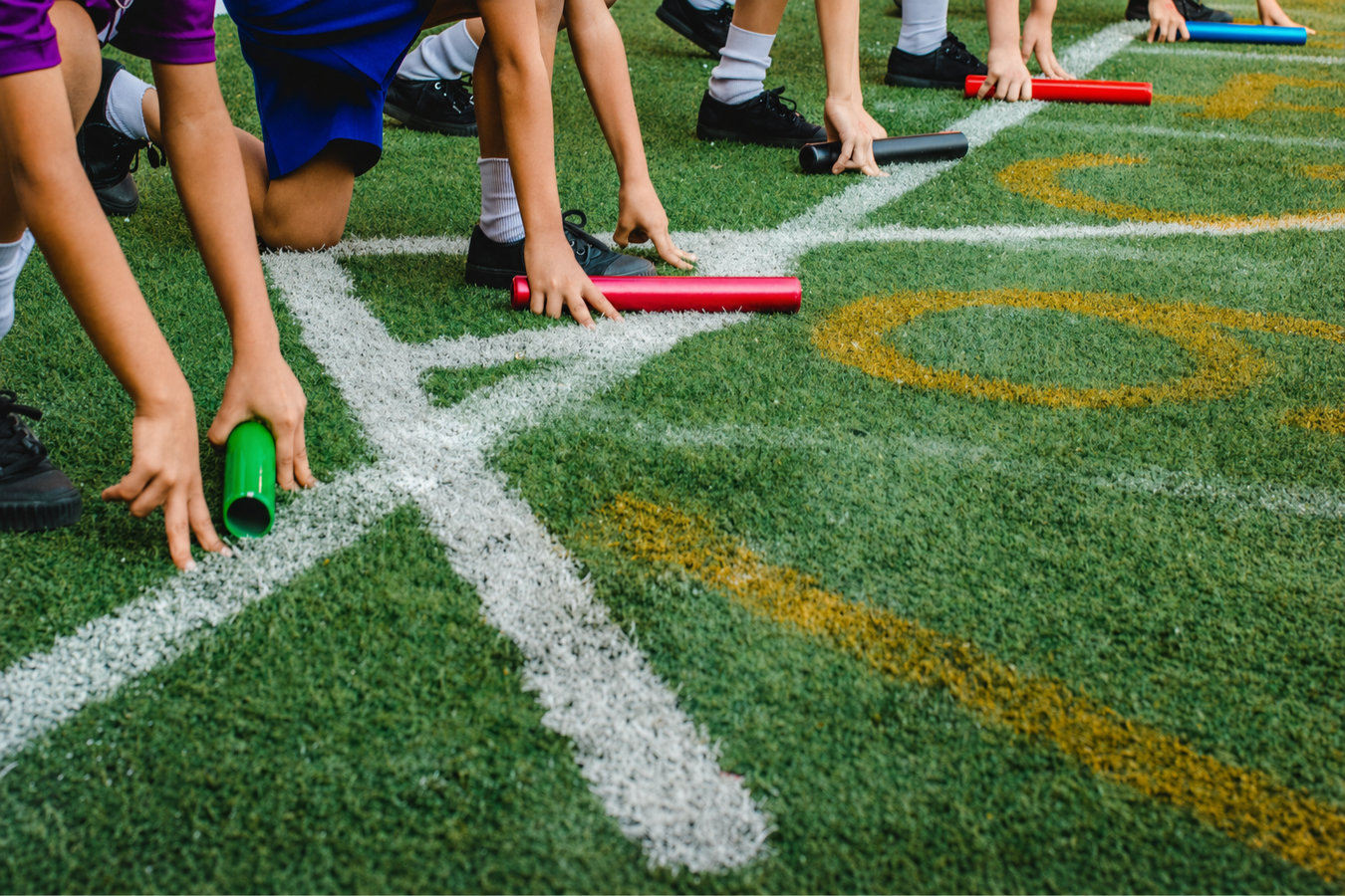 Sports turf supply