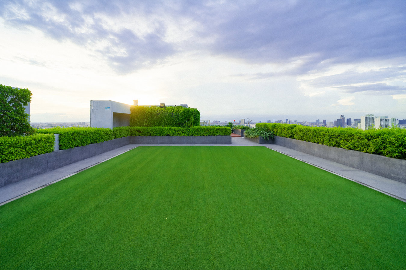 Turf for rooftop gardens